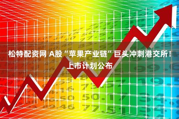 松特配资网 A股“苹果产业链”巨头冲刺港交所！上市计划公布