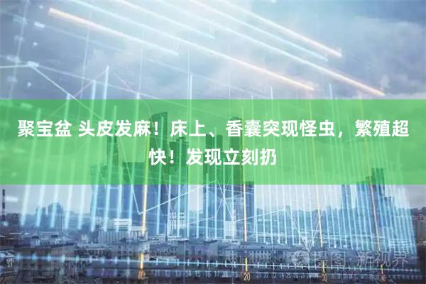 聚宝盆 头皮发麻！床上、香囊突现怪虫，繁殖超快！发现立刻扔