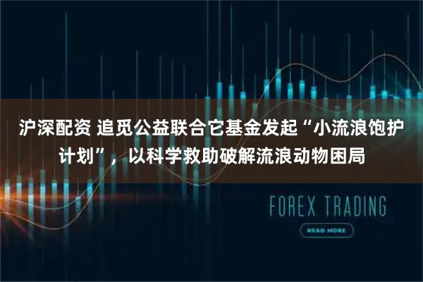 沪深配资 追觅公益联合它基金发起“小流浪饱护计划”，以科学救助破解流浪动物困局