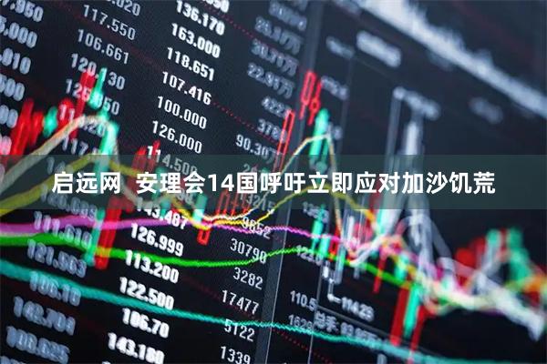 启远网  安理会14国呼吁立即应对加沙饥荒