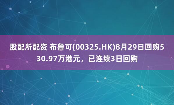 股配所配资 布鲁可(00325.HK)8月29日回购530.97万港元，已连续3日回购