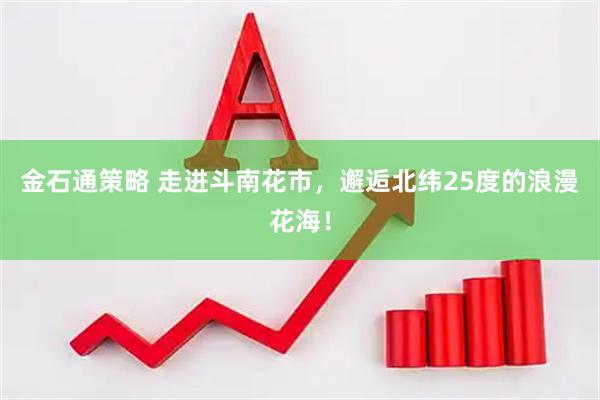 金石通策略 走进斗南花市，邂逅北纬25度的浪漫花海！
