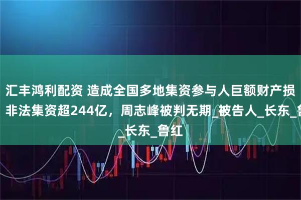 汇丰鸿利配资 造成全国多地集资参与人巨额财产损失！非法集资超244亿，周志峰被判无期_被告人_长东_鲁红