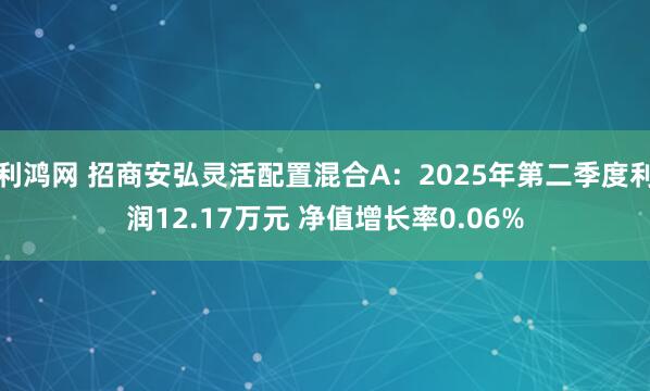 利鸿网 招商安弘灵活配置混合A：2025年第二季度利润12.17万元 净值增长率0.06%