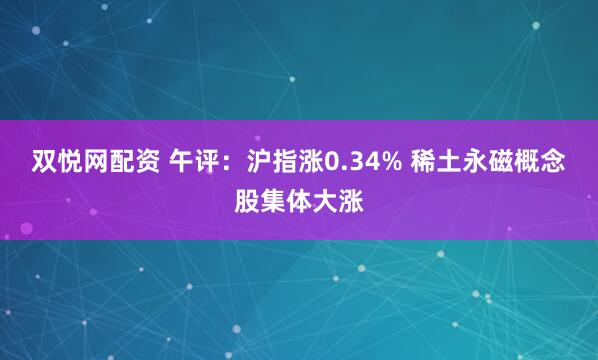 双悦网配资 午评：沪指涨0.34% 稀土永磁概念股集体大涨