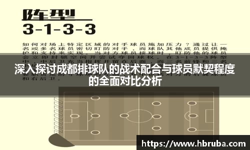 深入探讨成都排球队的战术配合与球员默契程度的全面对比分析
